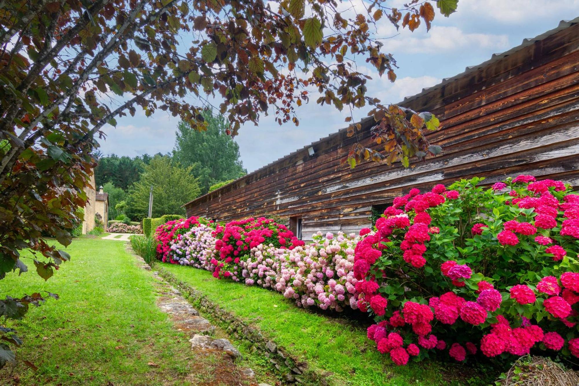 Le Clos Vallis Sarlat-la-Caneda Εξωτερικό φωτογραφία